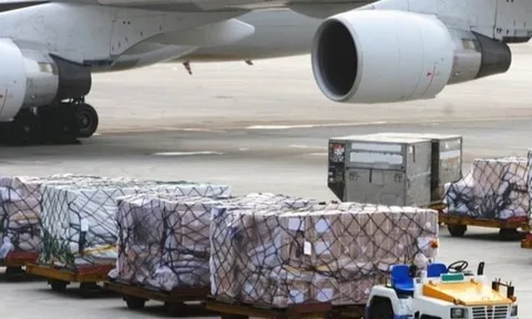 Truy tố các bị can trong đường dây vận chuyển trái phép hàng hóa từ Nhật về Việt Nam