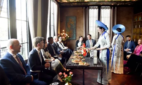 Việt Nam coi trọng quan hệ hữu nghị và hợp tác nhiều mặt với các quốc gia châu Âu