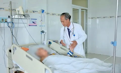 Nhiều trường hợp nguy kịch vì rắn cắn trong mùa mưa