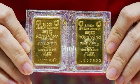 Giá vàng hôm nay (8-9): Neo ở đỉnh dốc