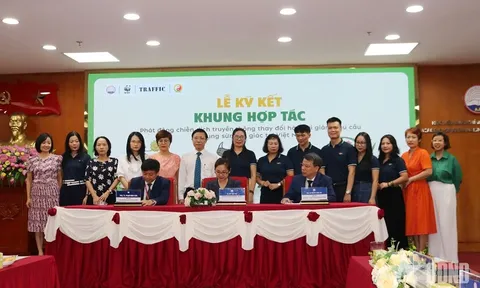 Kiến tạo tương lai y học cổ truyền bền vững, nói không với sừng tê giác