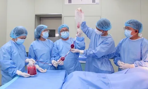 Bệnh viện Trung ương Huế: Lần đầu tiên ghép tế bào gốc tạo máu từ mẹ ruột, bất đồng nhóm máu thành công