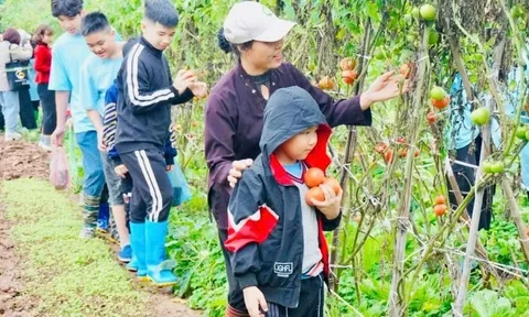 Định hình thương hiệu du lịch xanh