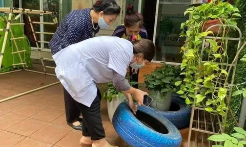 Chủ động phòng, chống dịch bệnh