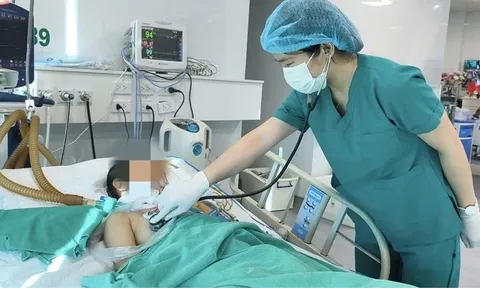 Nguy cơ tử vong vì mắc bệnh dại từ chó nuôi trong nhà