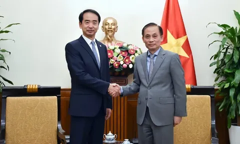 Thúc đẩy quan hệ hai Đảng, hai nước Việt-Trung không ngừng phát triển sâu rộng