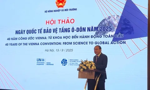 Nỗ lực của Việt Nam trong việc giảm phát thải khí nhà kính toàn cầu, bảo vệ tầng ô-dôn