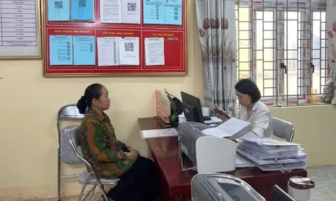Hỗ trợ chính quyền địa phương vận hành hiệu quả