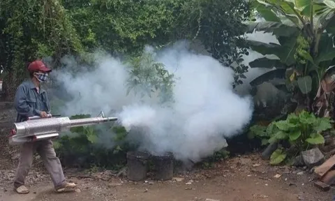 Ngành Y tế kêu gọi các địa phương, người dân chủ động ngăn chặn bệnh sốt xuất huyết