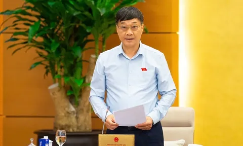 Chống thất thu thuế, kiểm soát hàng giả, hàng cấm trong hoạt động thương mại điện tử
