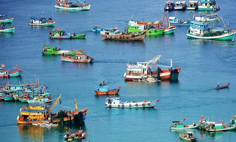 Doanh nghiệp thủy sản đồng hành cùng Chính phủ giữ vững uy tín và thị trường xuất khẩu