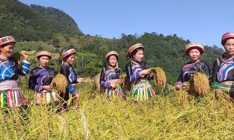 Phát huy vai trò tiên phong, gương mẫu và năng lực sáng tạo