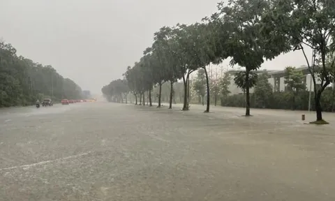 Thời tiết hôm nay (6-10): Bão số 11 gây mưa lớn ở Bắc Bộ