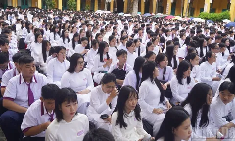 Sửa đổi, bổ sung quy định xử phạt vi phạm hành chính trong lĩnh vực giáo dục