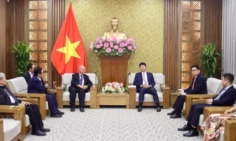 Thúc đẩy hợp tác pháp luật và tư pháp Việt Nam-Đức