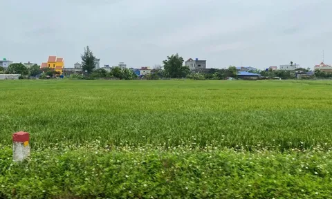 Sẽ có cơ chế thưởng khi bàn giao đất thu hồi trước thời hạn