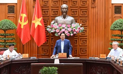 Khẩn trương khắc phục hậu quả, ổn định tình hình nhân dân, khôi phục sản xuất, kinh doanh sau bão số 11