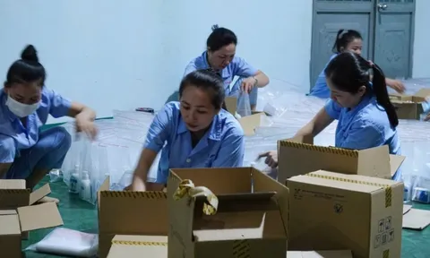 Gia Lai thành lập đoàn y tế hỗ trợ các tỉnh phía bắc khắc phục hậu quả bão số 11