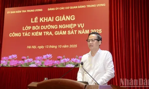 Bồi dưỡng chuyên sâu nghiệp vụ kiểm tra, giám sát cho cán bộ trong Đảng bộ các cơ quan Đảng Trung ương