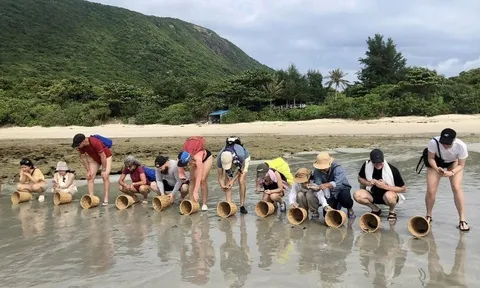 Vườn quốc gia Côn Đảo - hành trình đến “Danh lục Xanh IUCN”