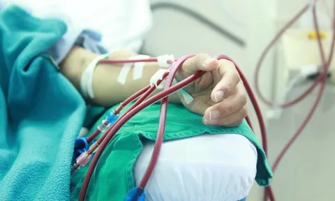 Nguy cơ suy thận trẻ hóa: Thói quen xấu bạn cần tránh