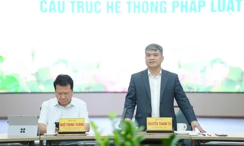 Đưa thể chế, pháp luật trở thành lợi thế cạnh tranh