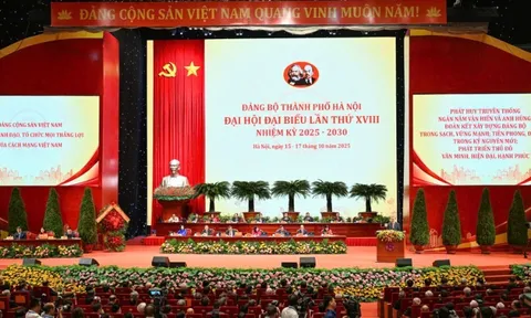 Phát triển các mạch sáng tạo để Hà Nội kết nối, dẫn dắt vùng, quốc gia trong thời kỳ mới