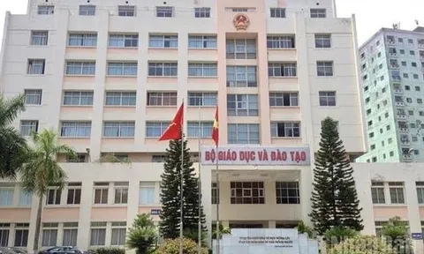 Bộ Giáo dục và Đào tạo nêu lý do chưa thể triển khai việc sắp xếp các cơ sở giáo dục đại học