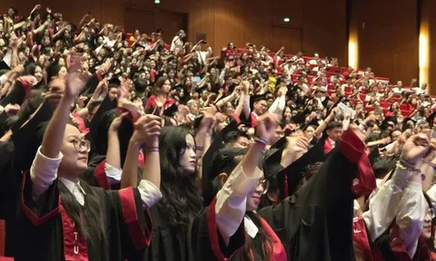 Bộ GD&ĐT tạm hoãn sắp xếp trường đại học, nghề nghiệp để chờ đề án mới