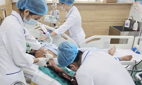 Đắp thuốc chữa rắn cắn, bệnh nhân mất cơ hội "vàng" điều trị