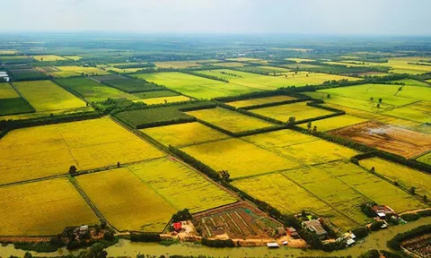 Chính phủ thông qua nội dung dự thảo về một số cơ chế, chính sách tháo gỡ khó khăn, vướng mắc trong thi hành Luật Đất đai
