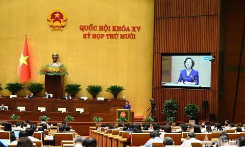 Kỳ họp thứ mười, Quốc hội khóa XV: Đề xuất cơ chế tuyển viên chức từ khu vực tư