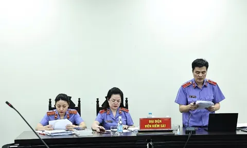 Viện Kiểm sát nhân dân sẽ thí điểm khởi kiện vụ án dân sự để bảo vệ các nhóm dễ bị tổn thương