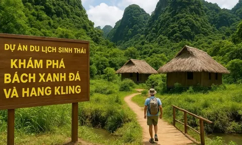 Lần đầu tiên, du khách được tham quan quần thể Bách xanh đá hàng trăm năm tuổi ở Phong Nha-Kẻ Bàng