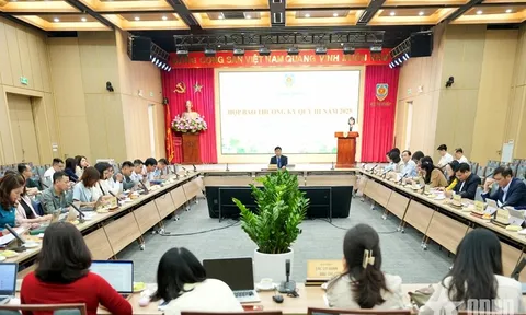 Bộ Tư pháp: Kết quả thi hành án dân sự tăng trưởng tích cực