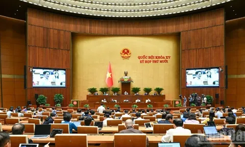 Bảo đảm hiệu quả vận hành mô hình chính quyền địa phương 2 cấp