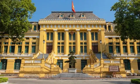 Không vụ lợi, dám nghĩ dám làm được miễn hình phạt