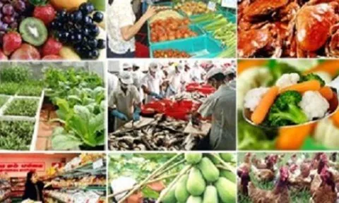 Đề xuất tăng mức xử phạt vi phạm về an toàn thực phẩm