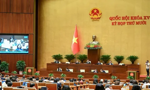 Tuần làm việc thứ 3, Kỳ họp thứ 10: Quốc hội tập trung cho công tác lập pháp