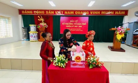 Quy định mới về bầu cử Trưởng thôn, Tổ trưởng dân phố