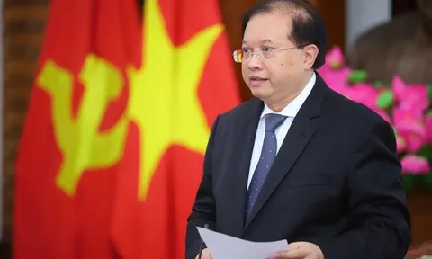 Liên hoan Phim Việt Nam lần thứ XXIV: Dấu ấn hội nhập và sáng tạo không giới hạn