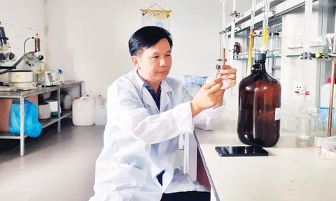 Nghiên cứu hoạt chất quý trong cây ngải cứu