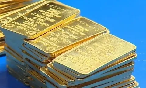 Giá vàng hôm nay (10-11): Vàng miếng SJC, vàng nhẫn neo ở mức cao