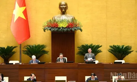 Bảo đảm hài hòa yêu cầu phòng ngừa tội phạm, tôn trọng và bảo vệ quyền con người