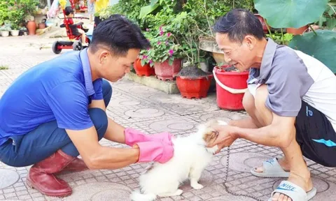 Việt Nam 75 người chết vì bệnh dại: Phòng ngừa để không còn ca tử vong vào 2030