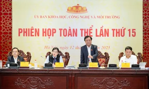 Rà soát kỹ việc phân loại và quản lý hệ thống trí tuệ nhân tạo theo rủi ro