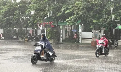 Nồm ẩm quay trở lại, mọi người cần lưu ý gì để bảo vệ không gian sống?