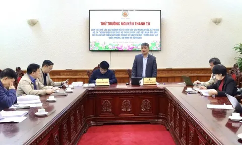 Hoàn thiện cấu trúc hệ thống pháp luật trong lĩnh vực quốc phòng, an ninh và đối ngoại