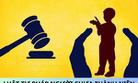 Nhiệm vụ, quyền hạn của Hội đồng quốc gia về tư pháp người chưa thành niên