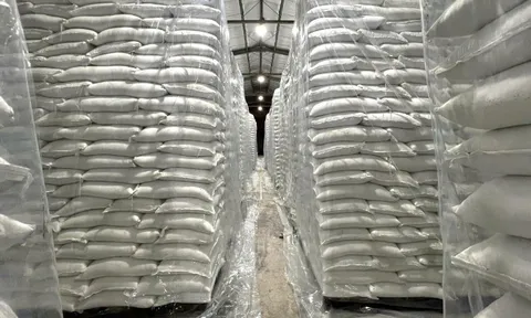 Hoàn thành nhập kho 500.000 tấn lương thực dự trữ quốc gia năm 2025